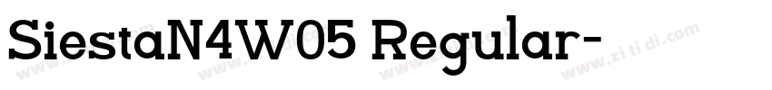 SiestaN4W05 Regular字体转换
